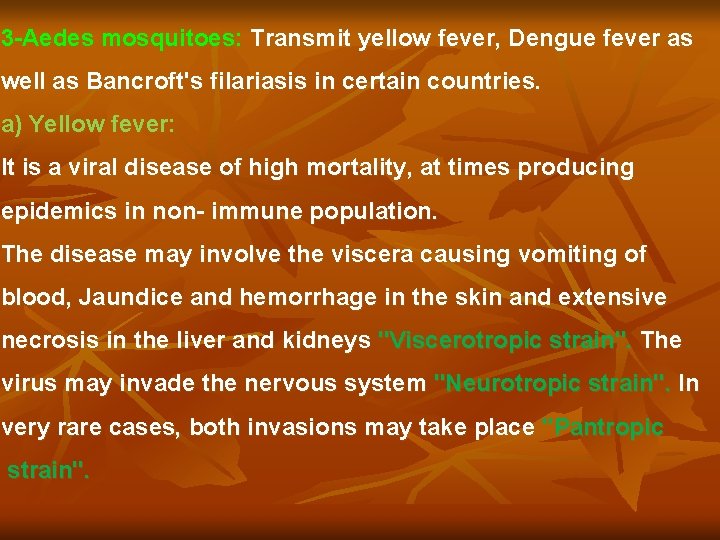 3 -Aedes mosquitoes: Transmit yellow fever, Dengue fever as well as Bancroft's filariasis in