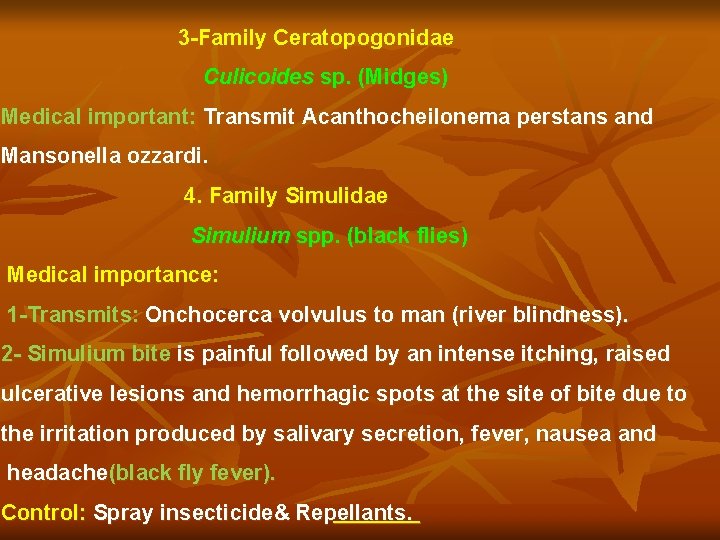 3 -Family Ceratopogonidae Culicoides sp. (Midges) Medical important: Transmit Acanthocheilonema perstans and Mansonella ozzardi.