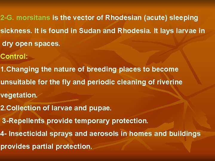 2 -G. morsitans is the vector of Rhodesian (acute) sleeping sickness. It is found