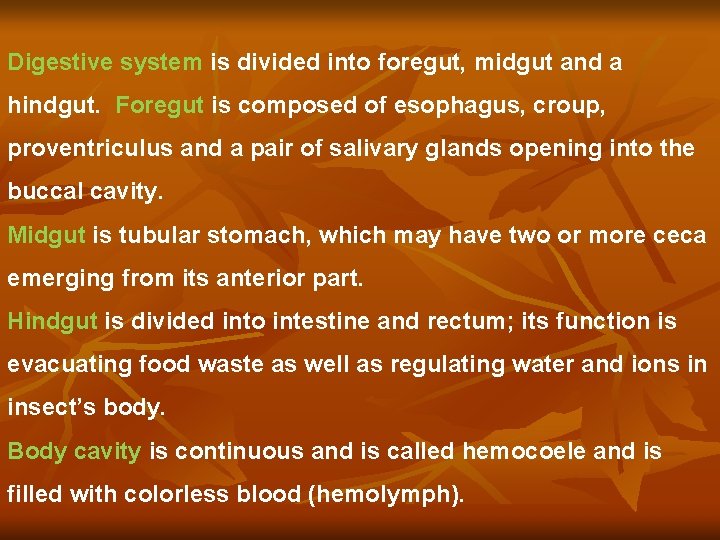 Digestive system is divided into foregut, midgut and a hindgut. Foregut is composed of