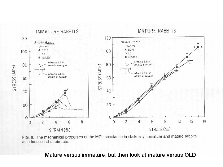 Mature versus immature, but then look at mature versus OLD 