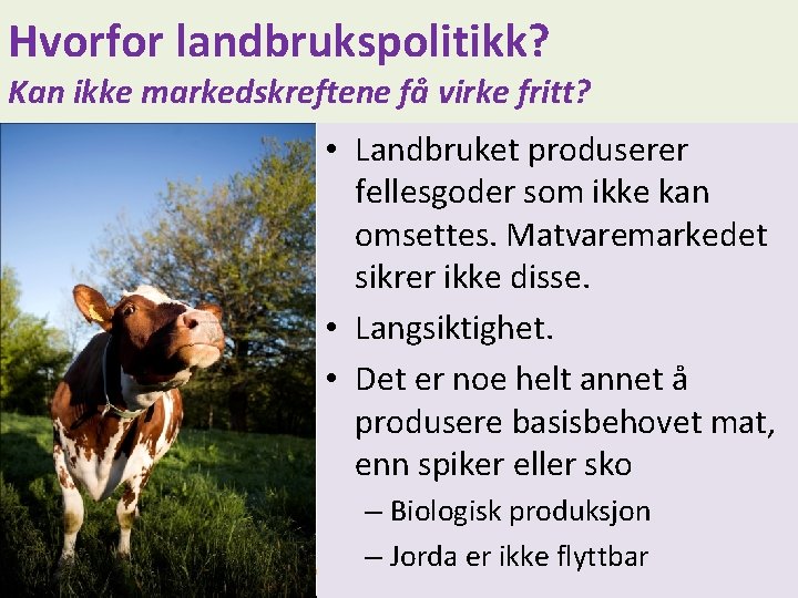 Hvorfor landbrukspolitikk? Kan ikke markedskreftene få virke fritt? • Landbruket produserer fellesgoder som ikke