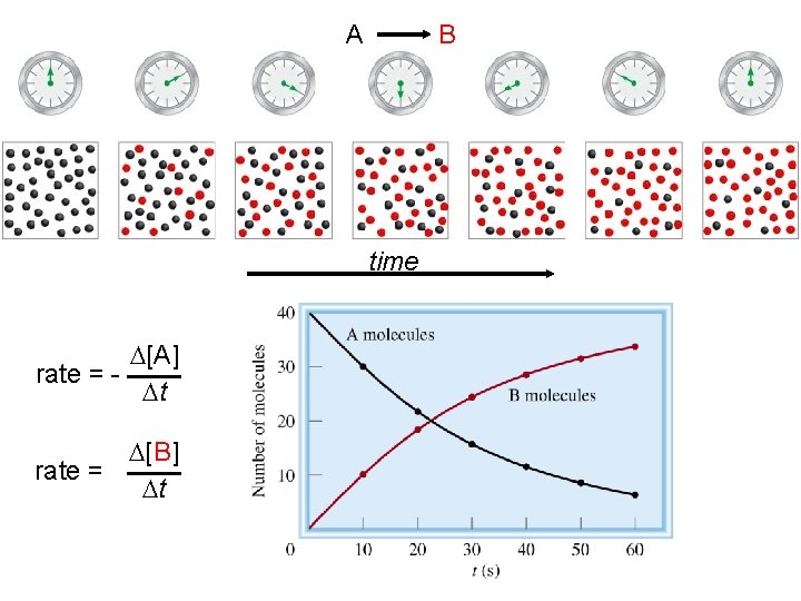 A B time D[A] rate = Dt D[B] rate = Dt 