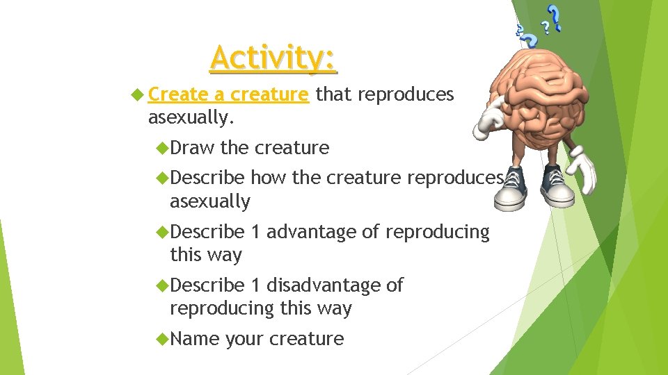Activity: Create a creature that reproduces asexually. Draw the creature Describe how the creature