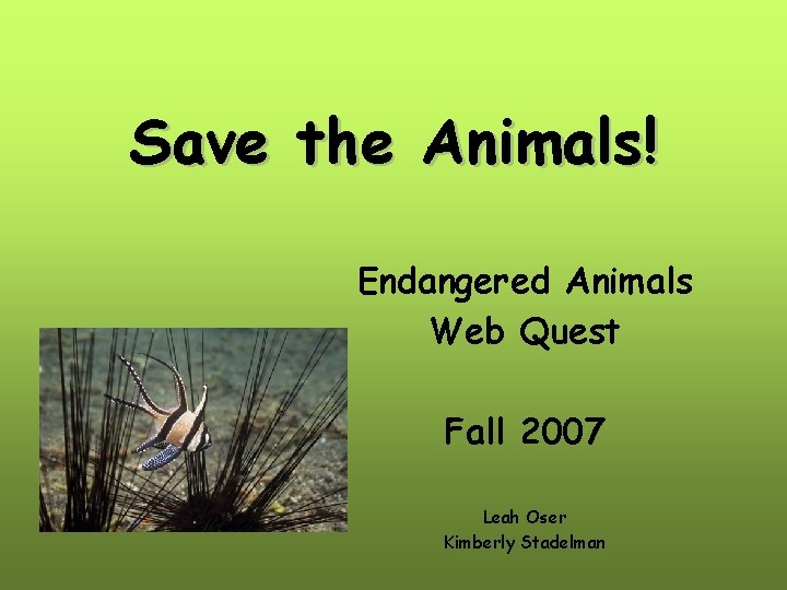 Save the Animals! Endangered Animals Web Quest Fall 2007 Leah Oser Kimberly Stadelman 