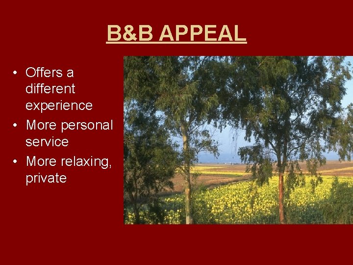 B&B APPEAL • Offers a different experience • More personal service • More relaxing,