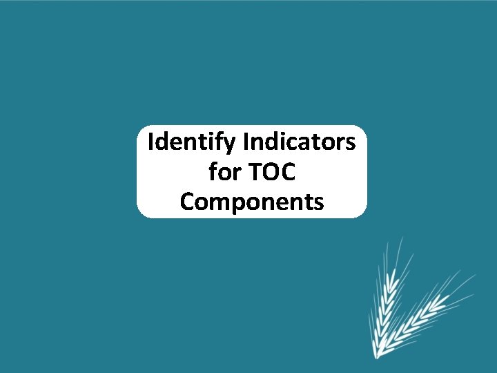Identify Indicators for TOC Components 