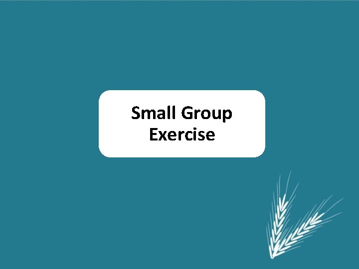 Small Group Exercise 