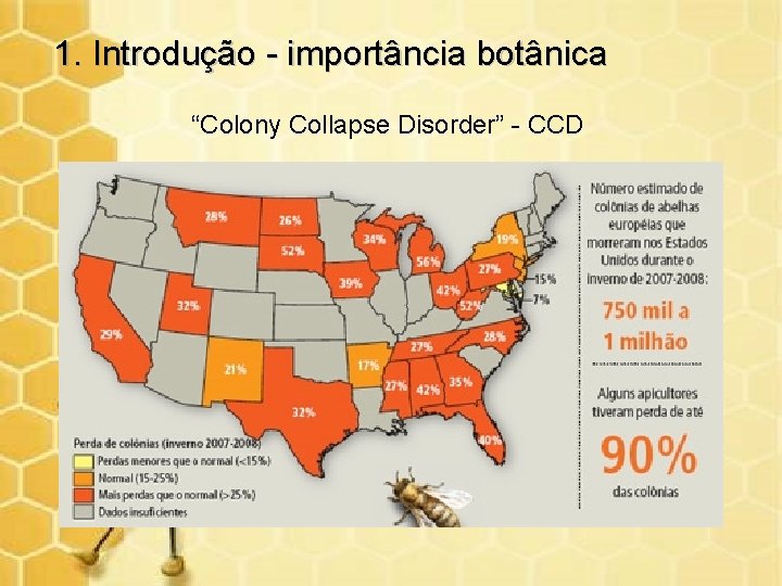 1. Introdução - importância botânica “Colony Collapse Disorder” - CCD 