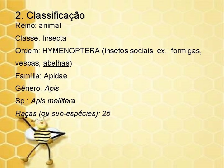 2. Classificação Reino: animal Classe: Insecta Ordem: HYMENOPTERA (insetos sociais, ex. : formigas, vespas,