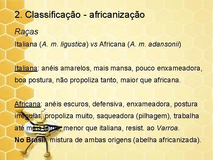 2. Classificação - africanização Raças Italiana (A. m. ligustica) vs Africana (A. m. adansonii)