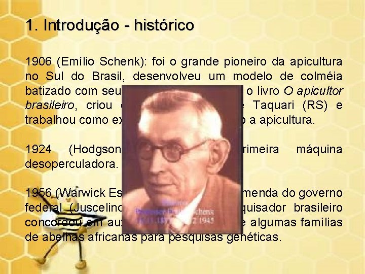 1. Introdução - histórico 1906 (Emílio Schenk): foi o grande pioneiro da apicultura no