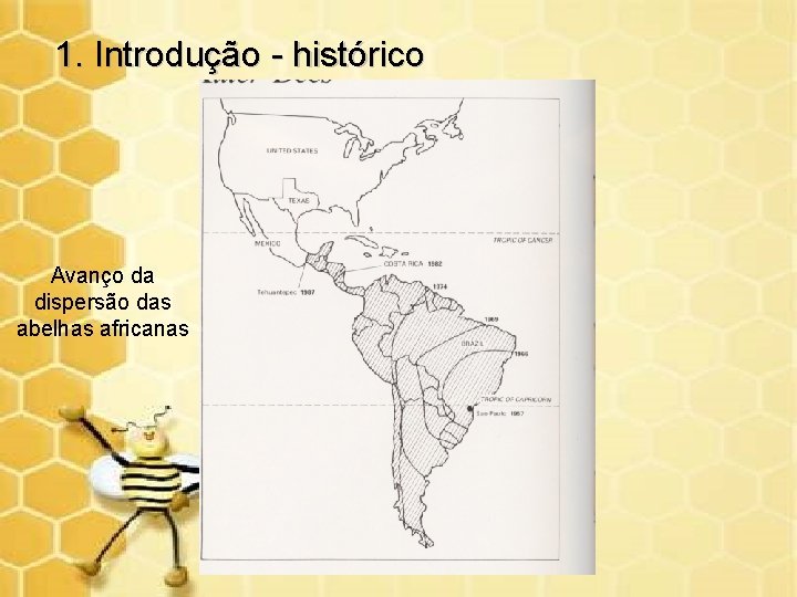 1. Introdução - histórico Avanço da dispersão das abelhas africanas 