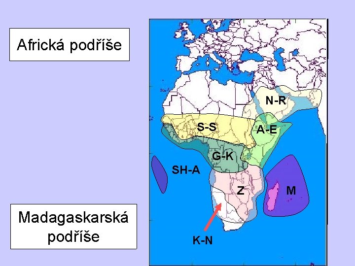 Africká podříše N-R S-S A-E G-K SH-A Z Madagaskarská podříše K-N M 