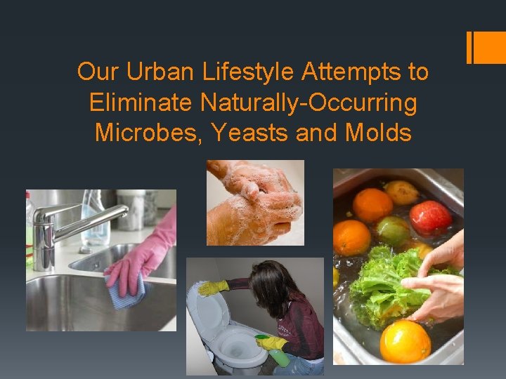 Our Urban Lifestyle Attempts to Eliminate Naturally-Occurring Microbes, Yeasts and Molds 