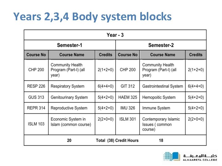 Years 2, 3, 4 Body system blocks 