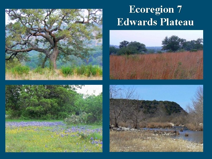 Ecoregion 7 Edwards Plateau 