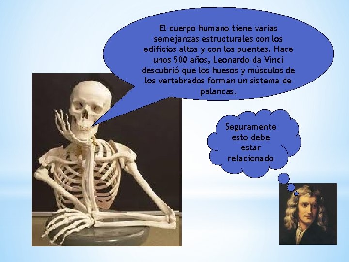 El cuerpo humano tiene varias semejanzas estructurales con los edificios altos y con los