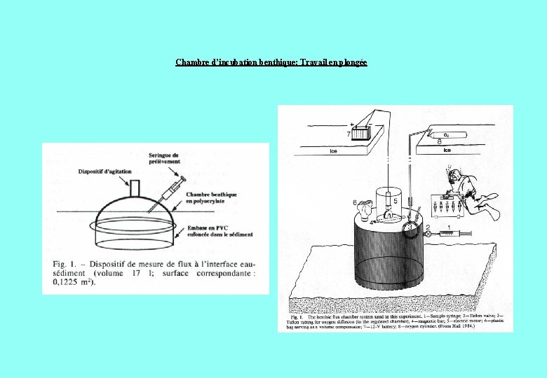Chambre d’incubation benthique: Travail en plongée 