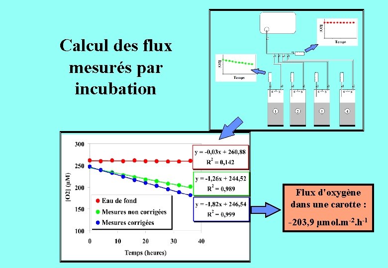 Calcul des flux mesurés par incubation Flux d'oxygène dans une carotte : -203, 9