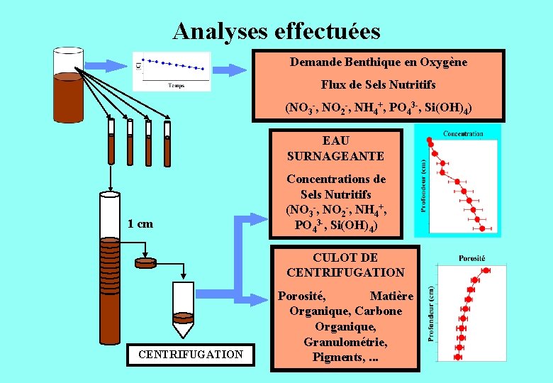 Analyses effectuées Demande Benthique en Oxygène Flux de Sels Nutritifs (NO 3 -, NO