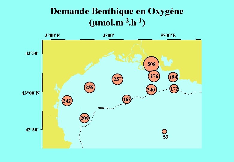 Demande Benthique en Oxygène (µmol. m-2. h-1) 508 276 257 258 194 172 240