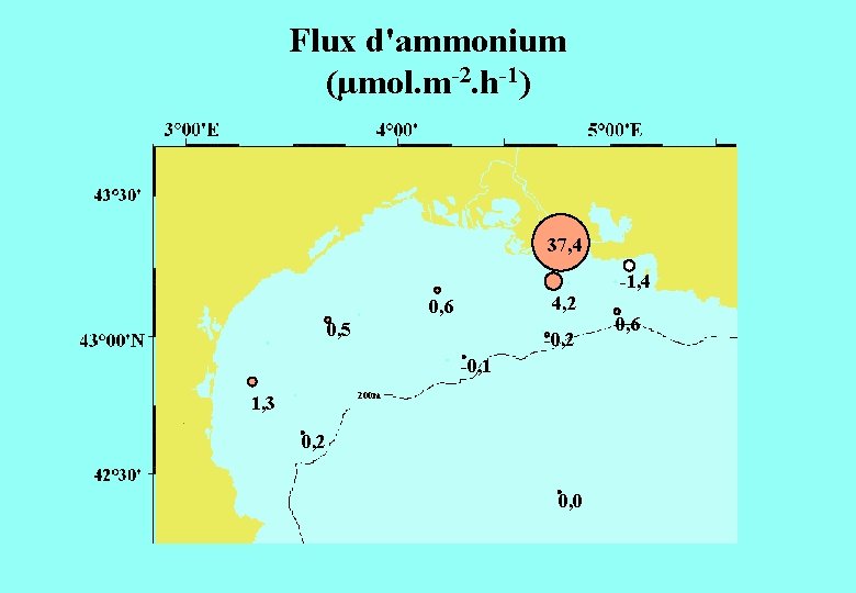 Flux d'ammonium (µmol. m-2. h-1) 37, 4 -1, 4 4, 2 0, 6 0,