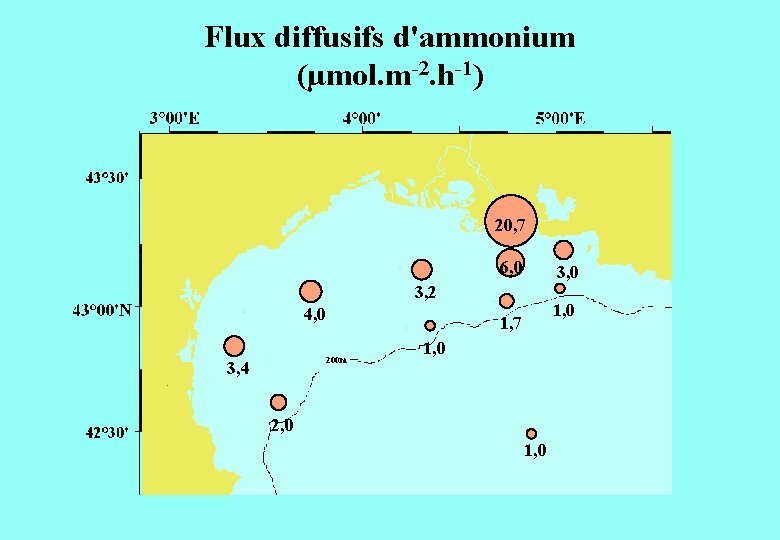 Flux diffusifs d'ammonium (µmol. m-2. h-1) 20, 7 6, 0 3, 2 4, 0