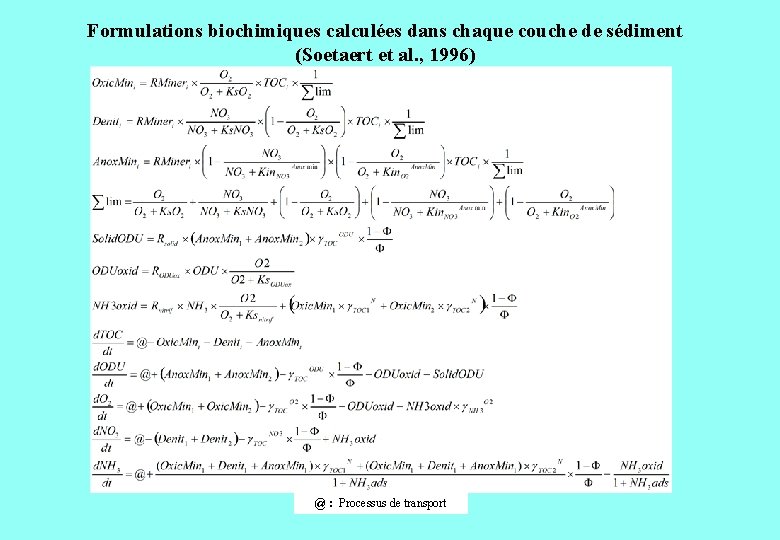 Formulations biochimiques calculées dans chaque couche de sédiment (Soetaert et al. , 1996) @