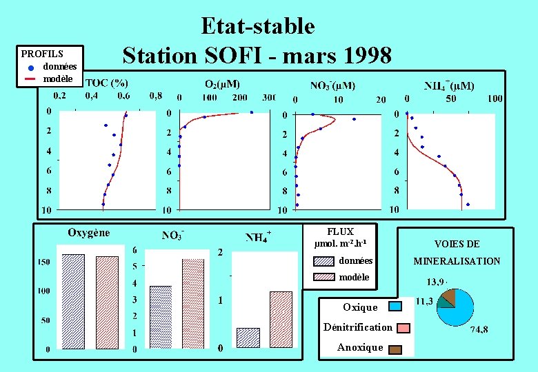 PROFILS données modèle Etat-stable Station SOFI - mars 1998 FLUX µmol. m-2. h-1 données