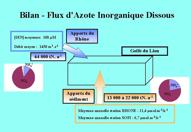 Bilan - Flux d'Azote Inorganique Dissous [DIN] moyenne: 100 µM Apports du Rhône Débit