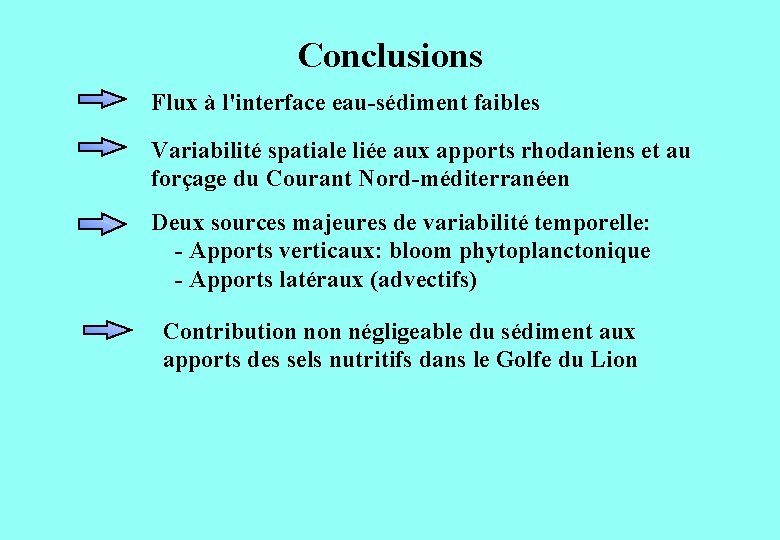 Conclusions Flux à l'interface eau-sédiment faibles Variabilité spatiale liée aux apports rhodaniens et au