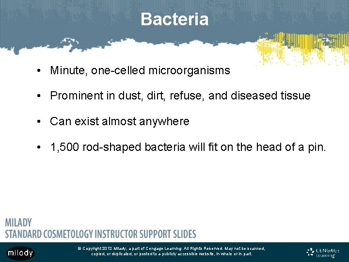 Bacteria • Minute, one-celled microorganisms • Prominent in dust, dirt, refuse, and diseased tissue