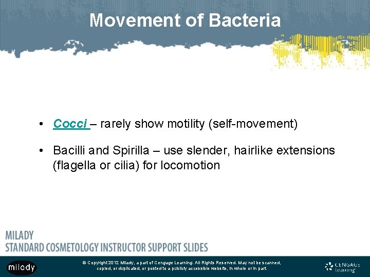 Movement of Bacteria • Cocci – rarely show motility (self-movement) • Bacilli and Spirilla