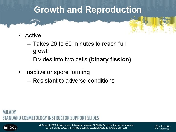 Growth and Reproduction • Active – Takes 20 to 60 minutes to reach full