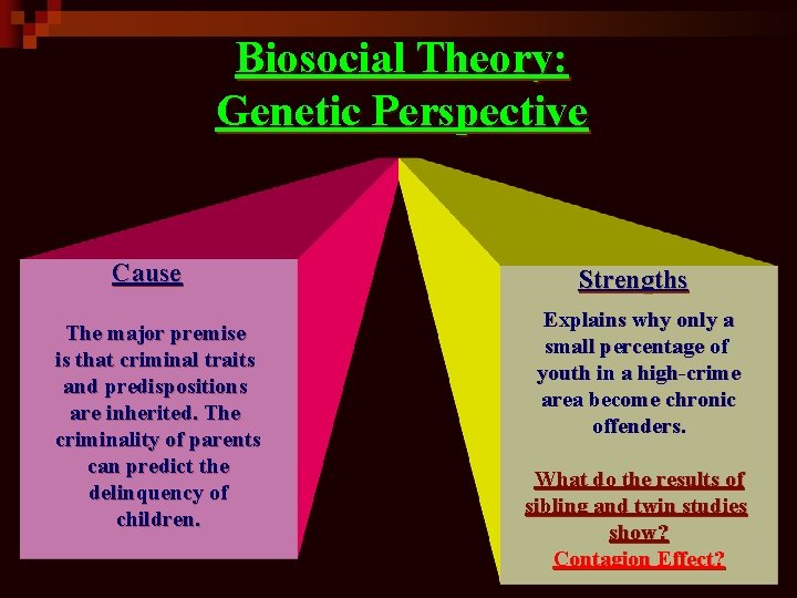 Biosocial Theory: Genetic Perspective Cause The major premise is that criminal traits and predispositions