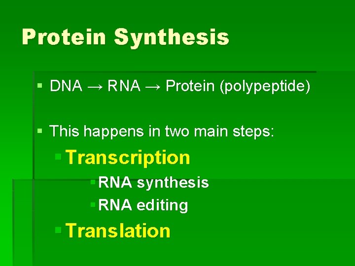 Protein Synthesis § DNA → RNA → Protein (polypeptide) § This happens in two