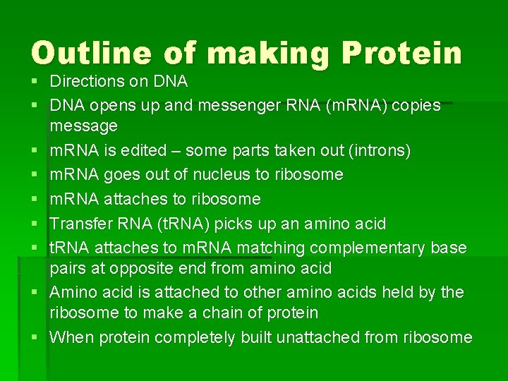 Outline of making Protein § Directions on DNA § DNA opens up and messenger
