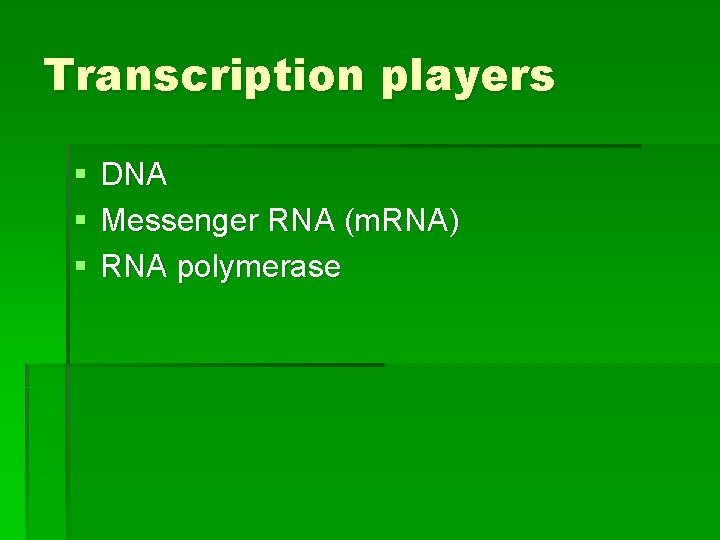 Transcription players § § § DNA Messenger RNA (m. RNA) RNA polymerase 
