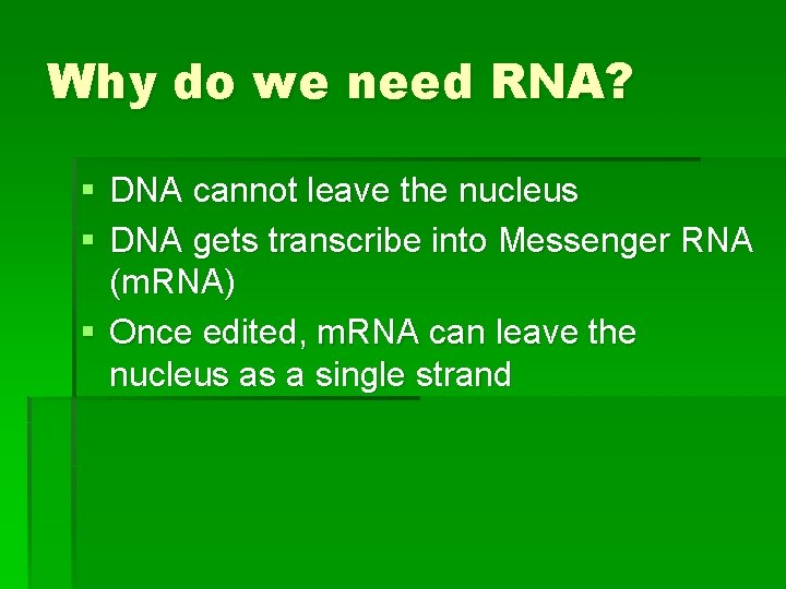 Why do we need RNA? § DNA cannot leave the nucleus § DNA gets