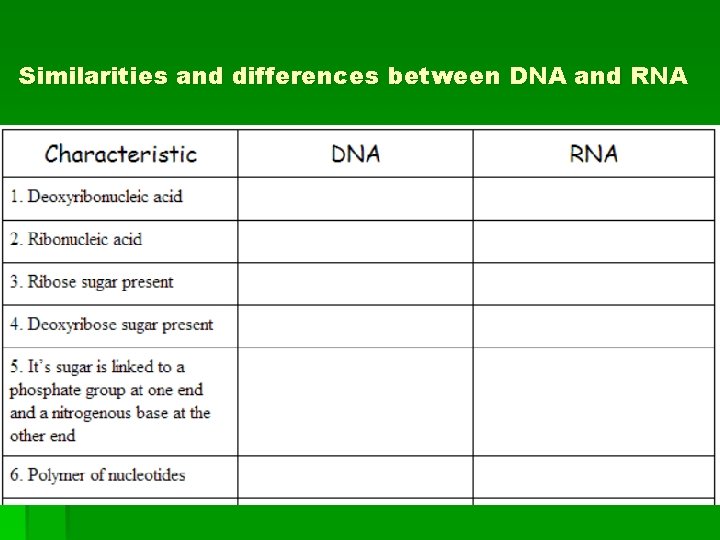 Similarities and differences between DNA and RNA 