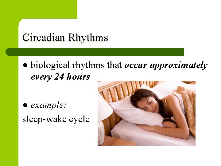 Circadian Rhythms l biological rhythms that occur approximately every 24 hours example: sleep-wake cycle Circadian Rhythms l biological rhythms that occur approximately every 24 hours example: sleep-wake cycle