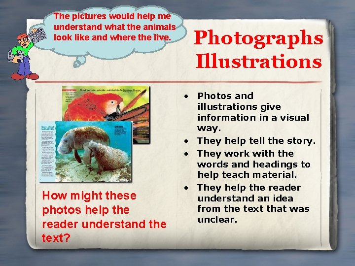 Understanding Nonfiction Text Features Examples of Text Features