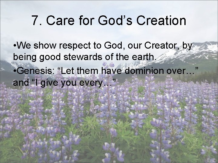 7. Care for God’s Creation • We show respect to God, our Creator, by