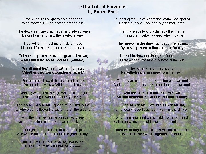 ~The Tuft of Flowers~ by Robert Frost I went to turn the grass once