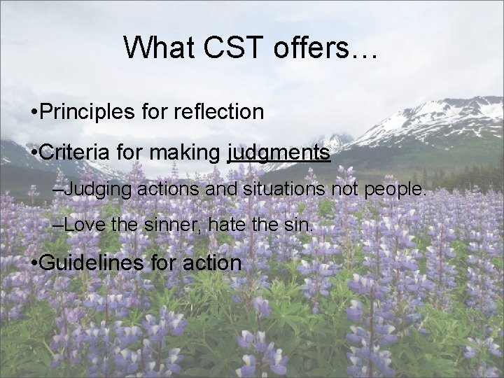 What CST offers… • Principles for reflection • Criteria for making judgments –Judging actions