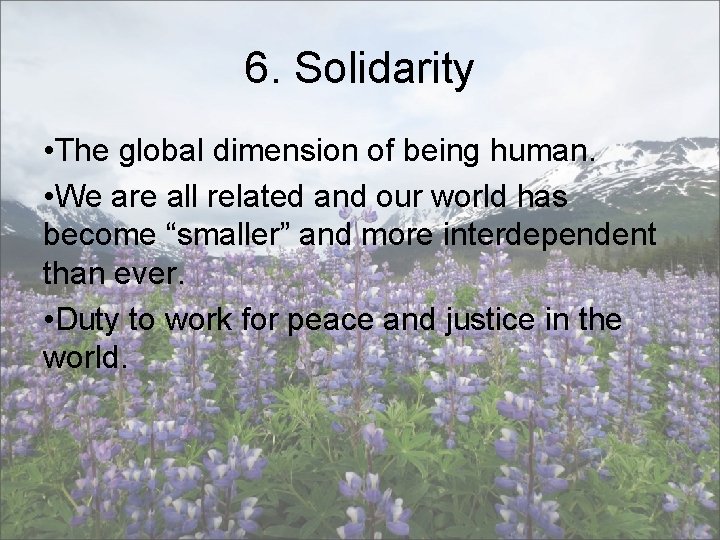 6. Solidarity • The global dimension of being human. • We are all related