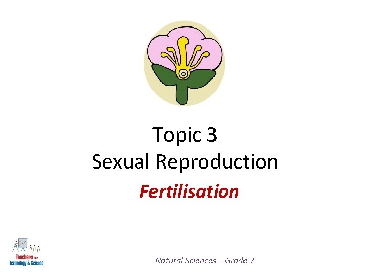 Topic 3 Sexual Reproduction Fertilisation Natural Sciences – Grade 7 