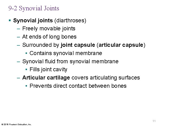 9 -2 Synovial Joints § Synovial joints (diarthroses) – Freely movable joints – At