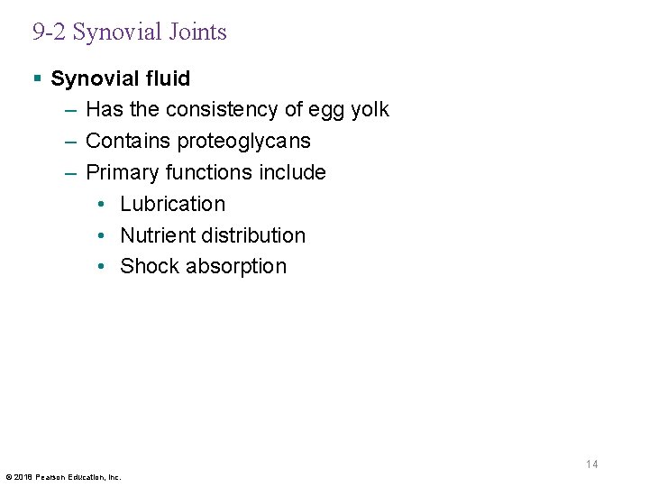 9 -2 Synovial Joints § Synovial fluid – Has the consistency of egg yolk